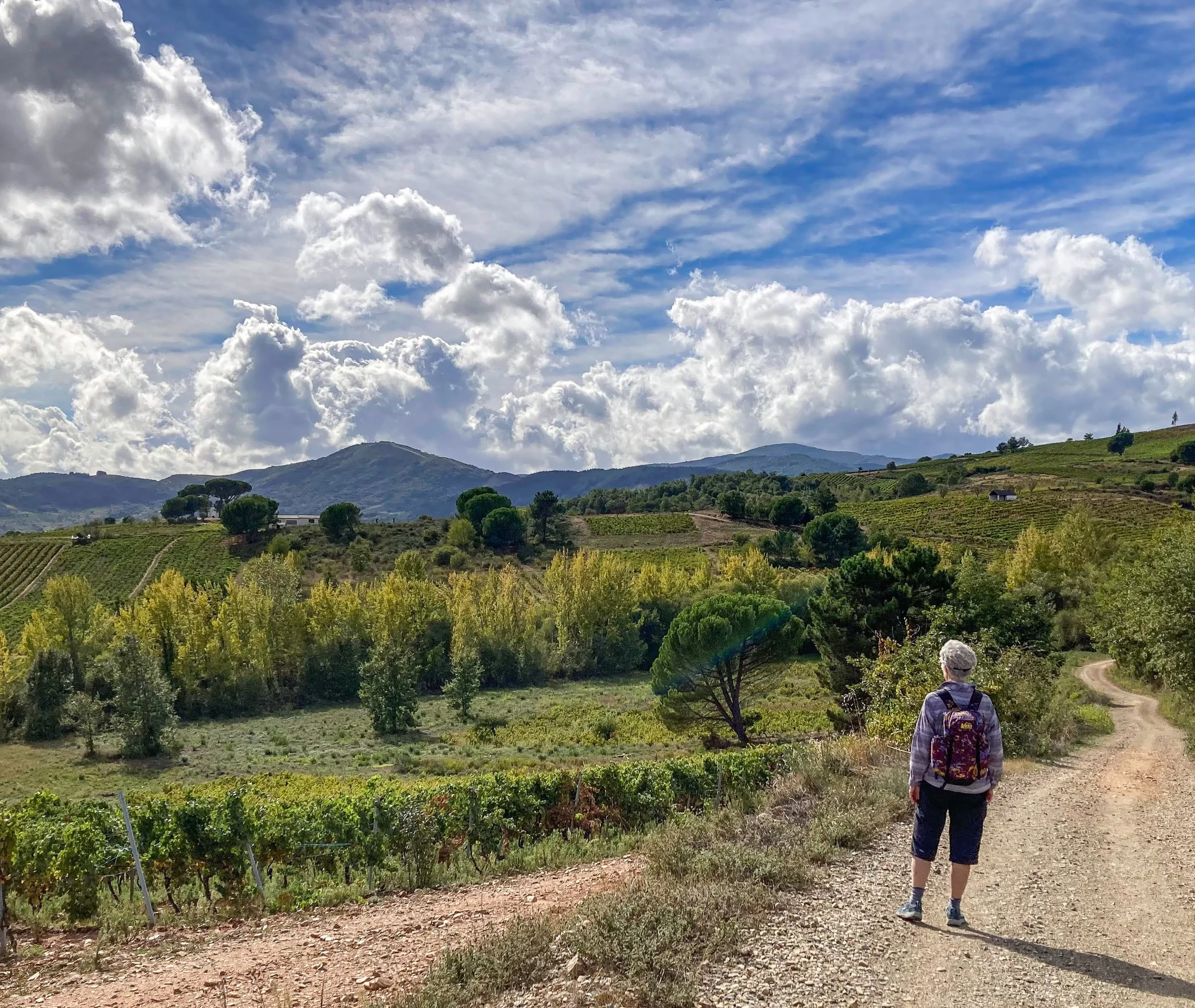 Soulful Women's Camino de Santiago Walking Retreat I Honest Heart